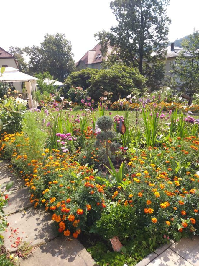 Ferienwohnungen Wilhelm Bad Schandau Exterior foto